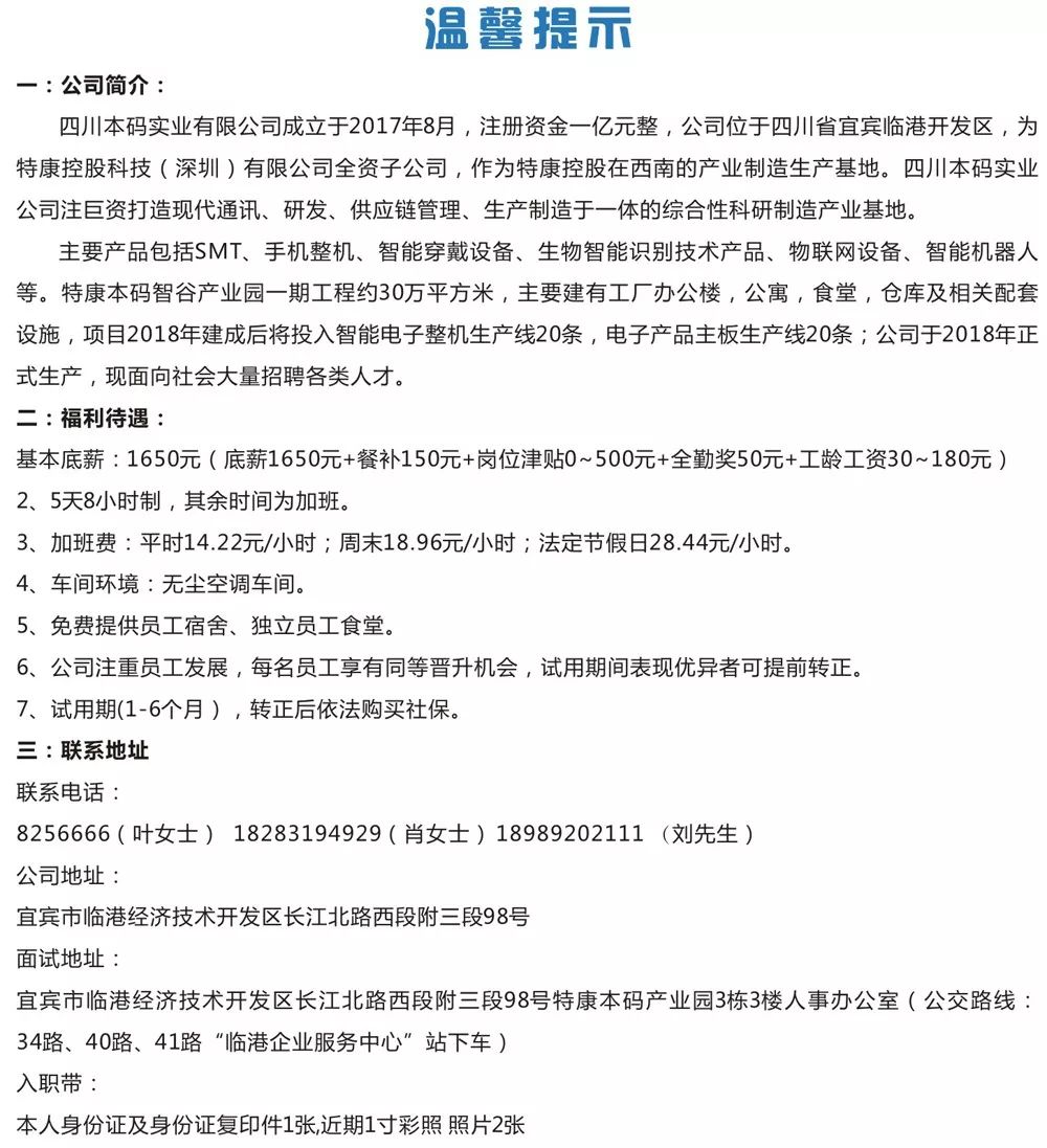 神秘黑猫 第3页