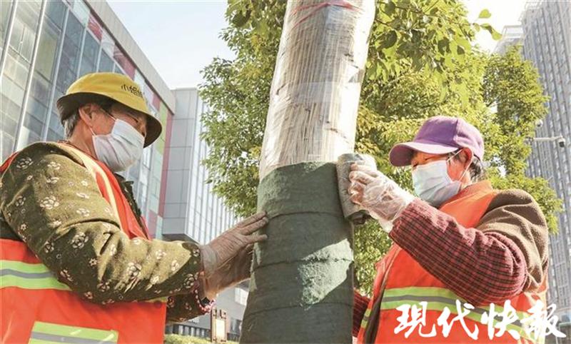 泉山区人力资源和社会保障局领导团队全新亮相，未来展望与行动指引
