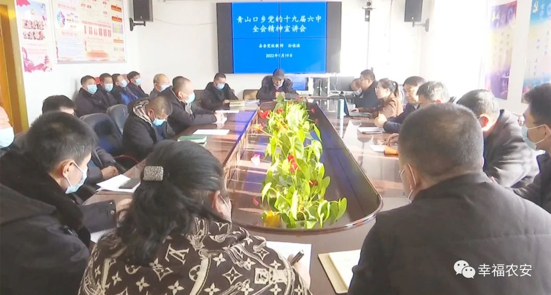 青山口乡交通迈向现代化新篇章，最新交通新闻揭秘