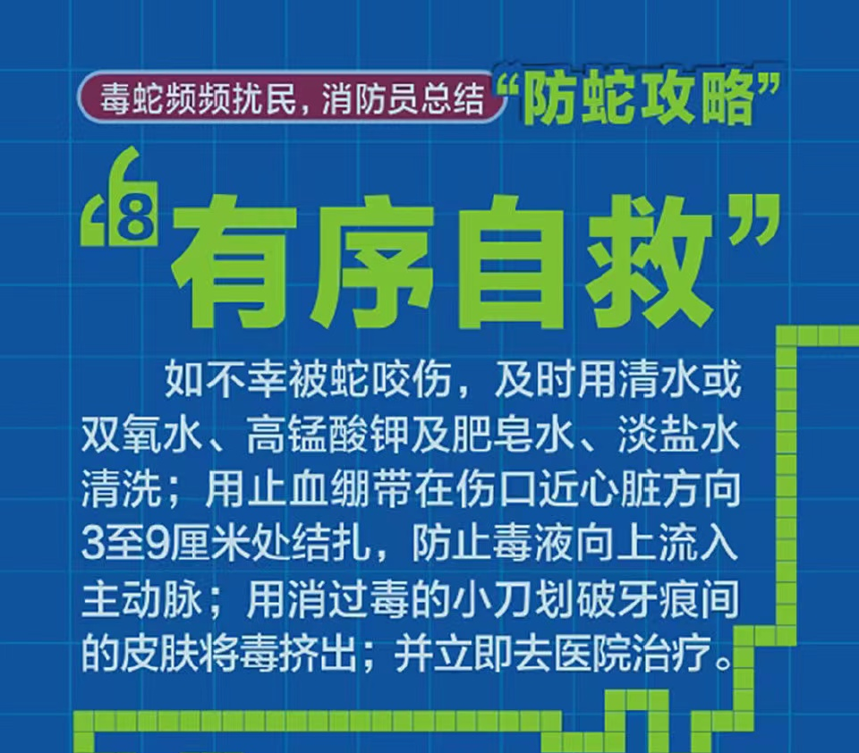 牛蹄湾村民委员会最新招聘启事概览
