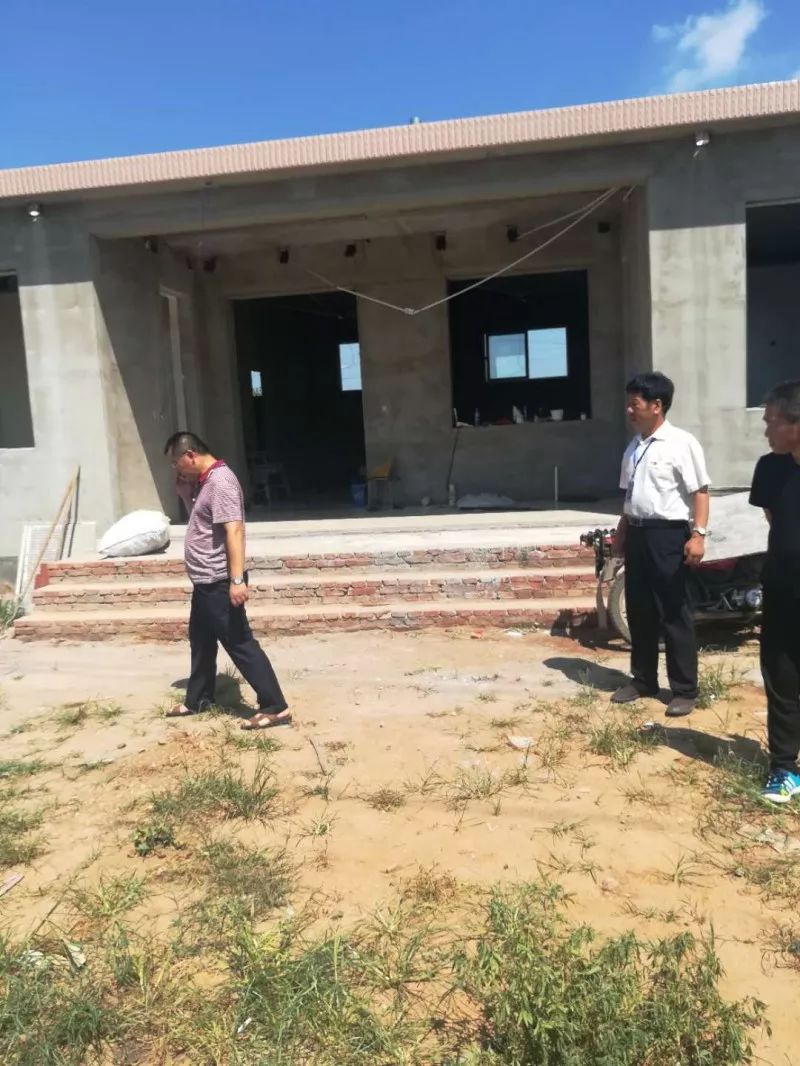 杨兴堡村委会最新项目，乡村振兴的新引擎