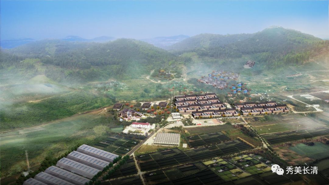 杠家镇先锋项目引领地区发展新篇章
