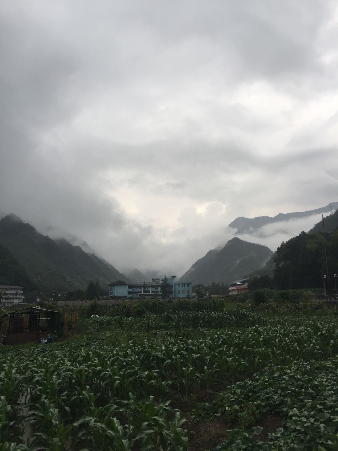 大巫岚镇天气预报更新通知