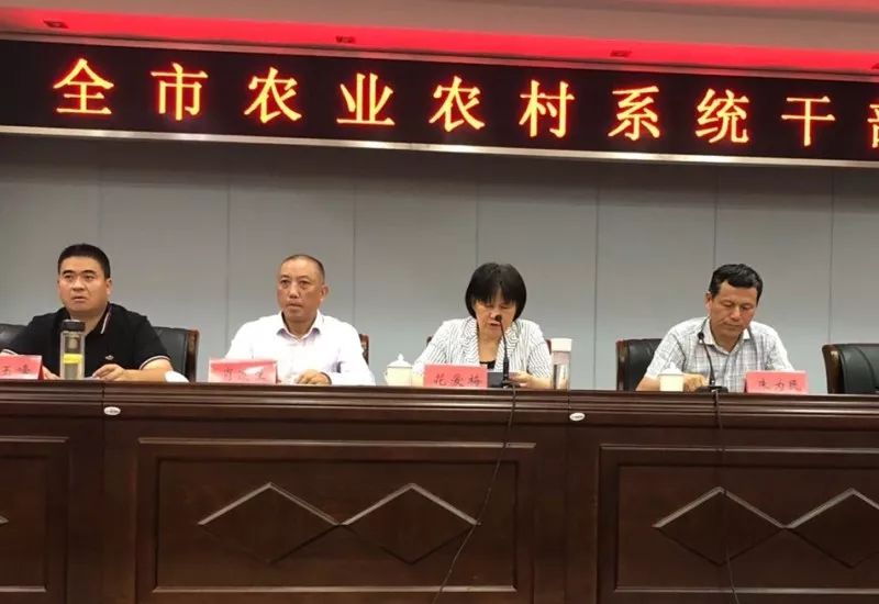 福元村最新人事任命公告