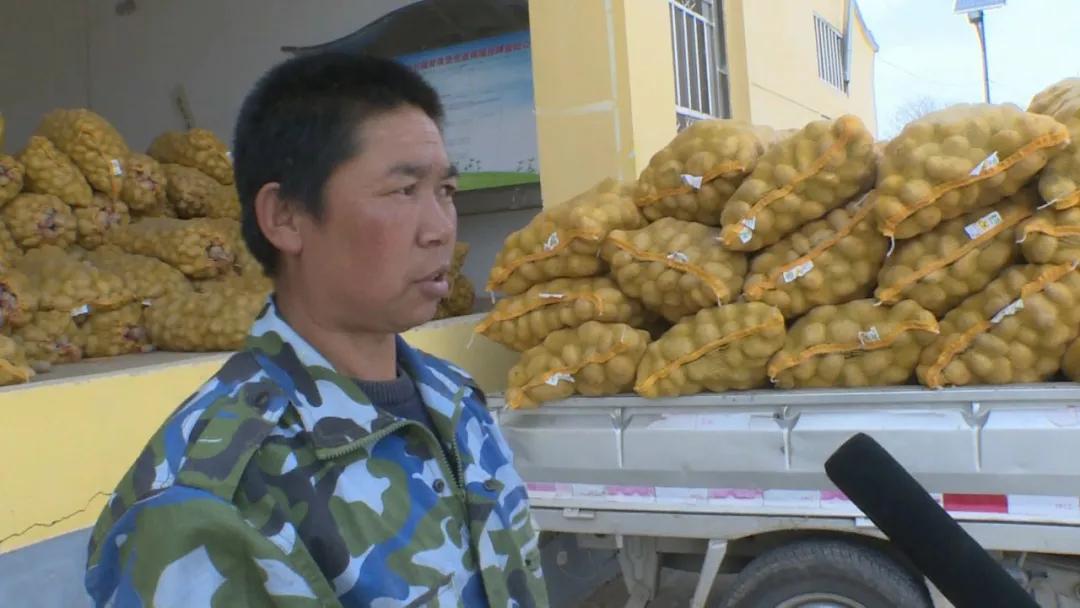 寨子镇交通新动态，发展助力地方经济腾飞