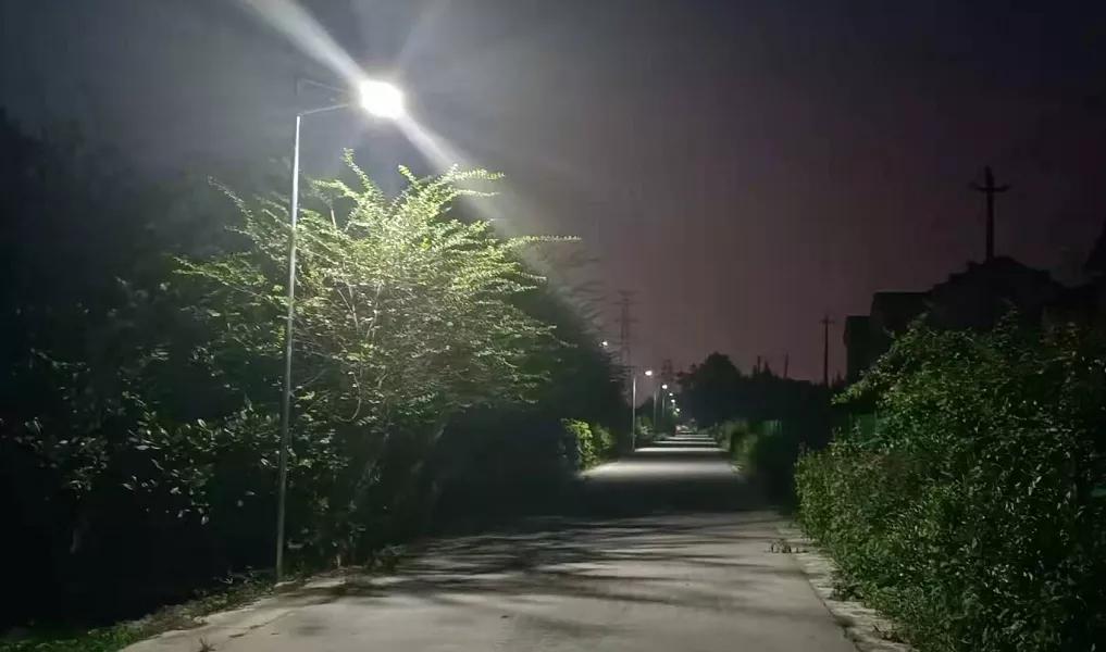 芒城社区村重塑未来，最新项目启动