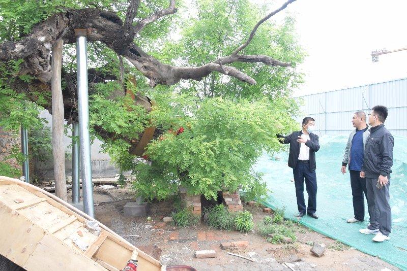 赵家街道新领导团队引领下的新篇章开启