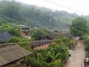 帕定村最新动态报道
