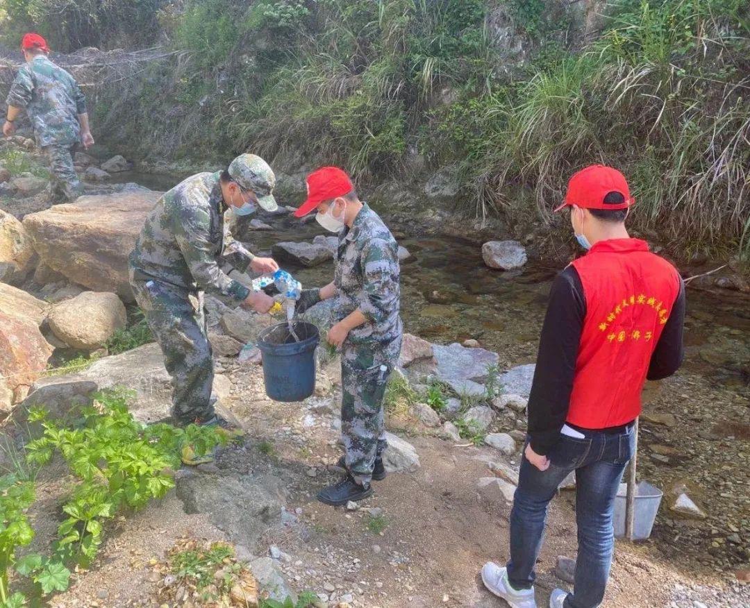 外屯乡发展规划概览，未来蓝图揭秘