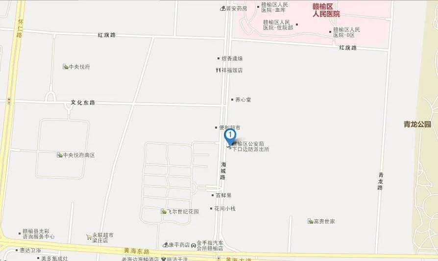 胶南市公安局现代化警务体系发展规划，提升社会治安水平新篇章
