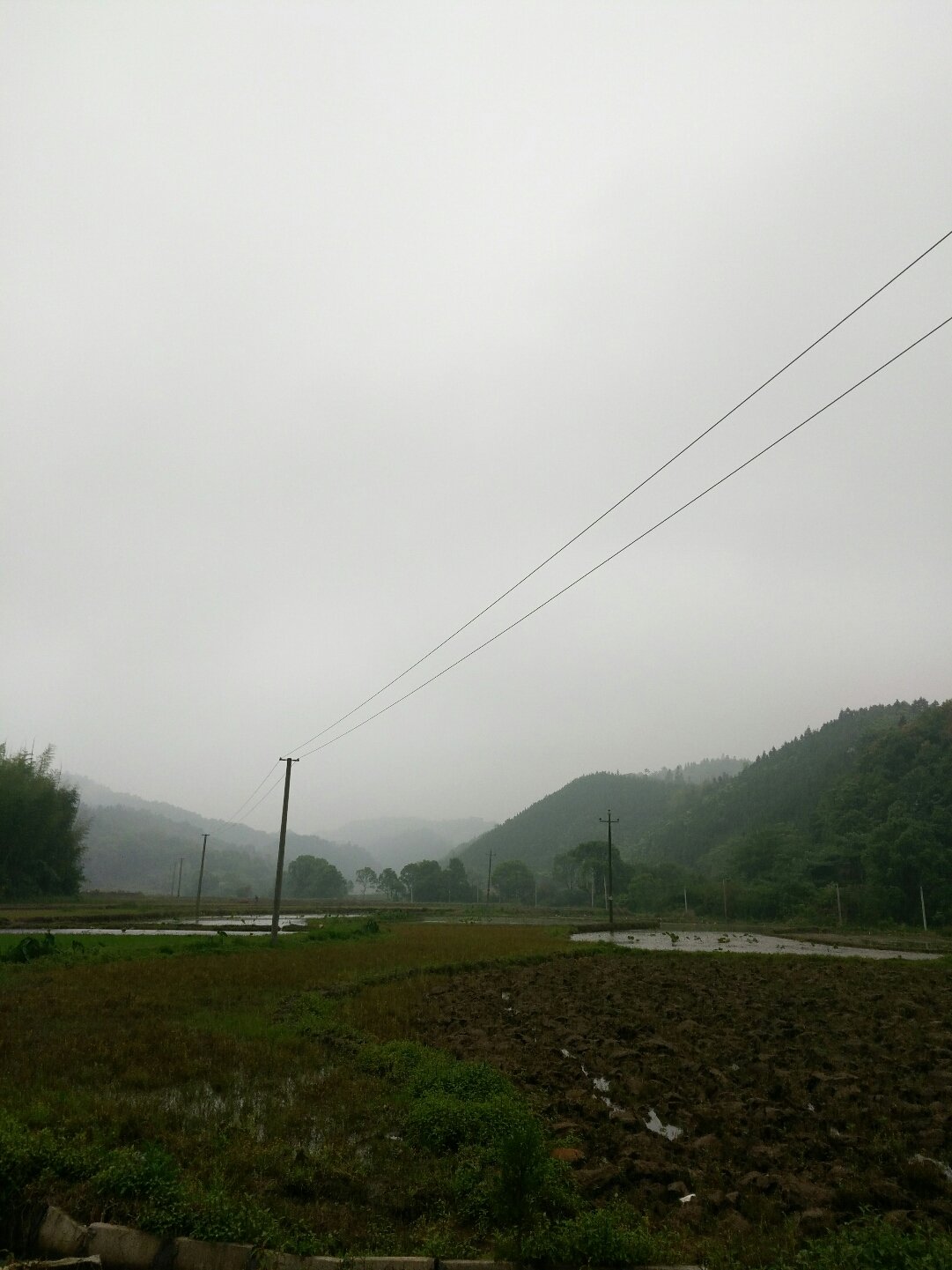 陈东乡天气预报更新通知