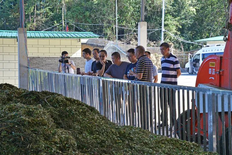 转轮寺村委会现代化交通新篇章开启，最新交通新闻概览