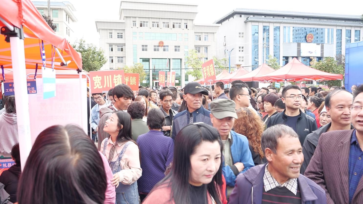 礼县市场监督管理局招聘新岗位信息全面解析
