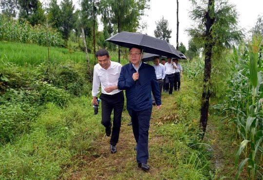 黄羊村委会最新发展规划概览