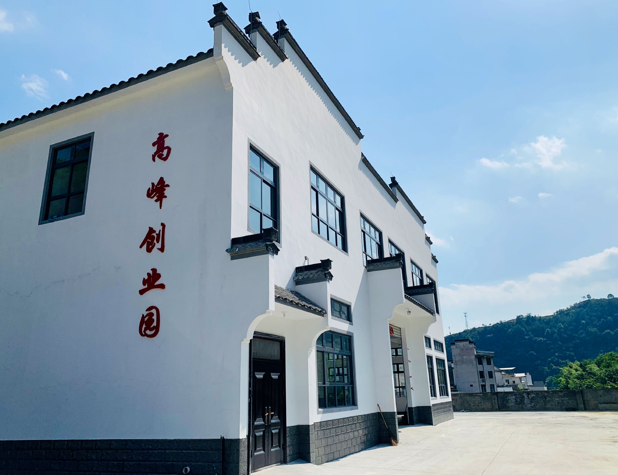 三阳村委会发展规划，重塑乡村面貌，推动可持续发展新篇章