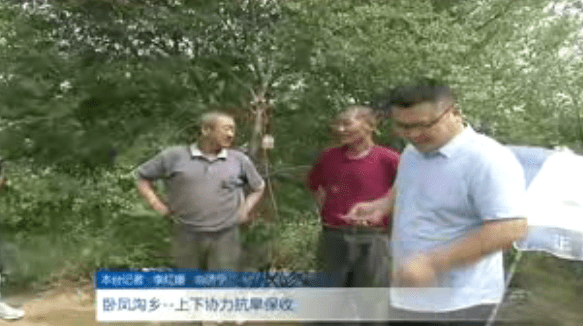 卧凤沟乡新闻速递，最新报道汇总