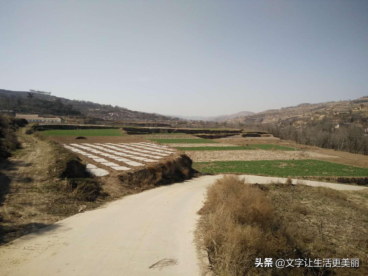 水家岔村民委员会招聘公告全新发布
