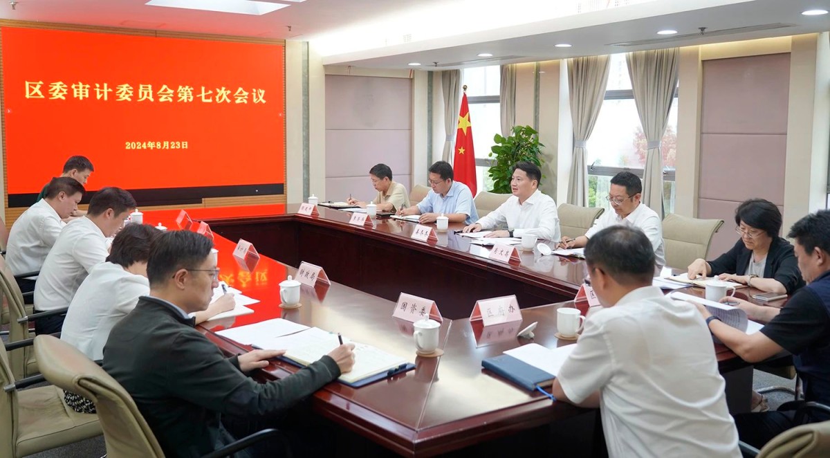 卢湾区审计局最新招聘概况及细节探讨