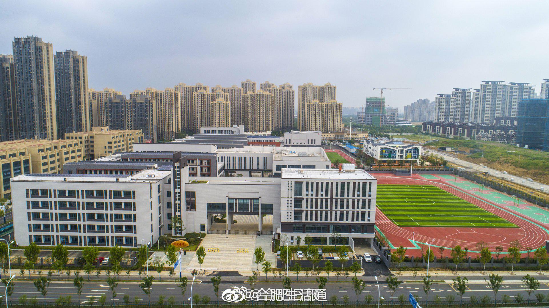包河区初中创新项目，引领教育变革，塑造未来之光
