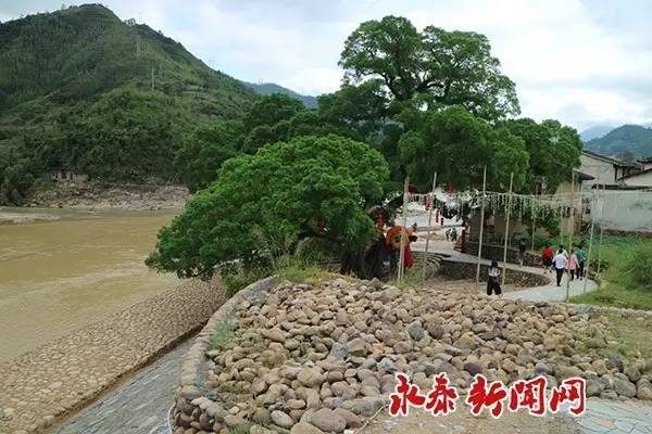 嵩口镇新项目，引领地方发展的强大引擎