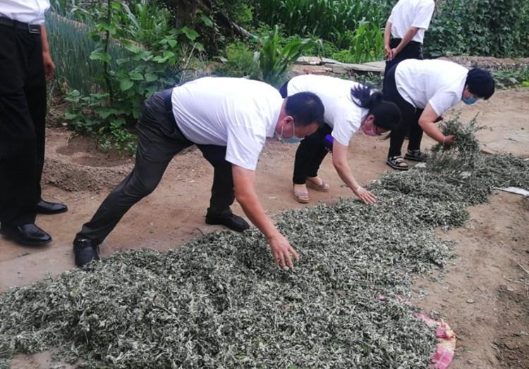 黑牛营子乡最新交通动态报道