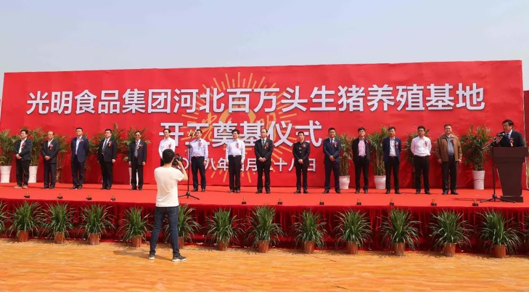 临西县科技局最新项目进展深度解读报告