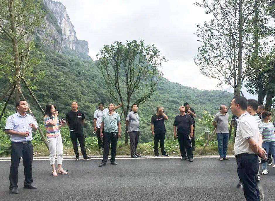 头渡镇领导团队焕新，携手共筑美好未来新篇章