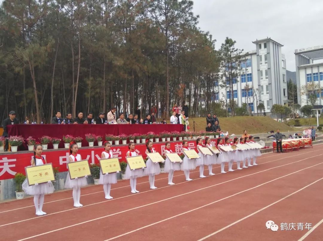 鹤庆县小学最新项目，引领教育创新，塑造未来之星