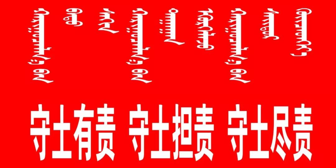 石家庄市机关事务管理局最新项目进展及其影响分析