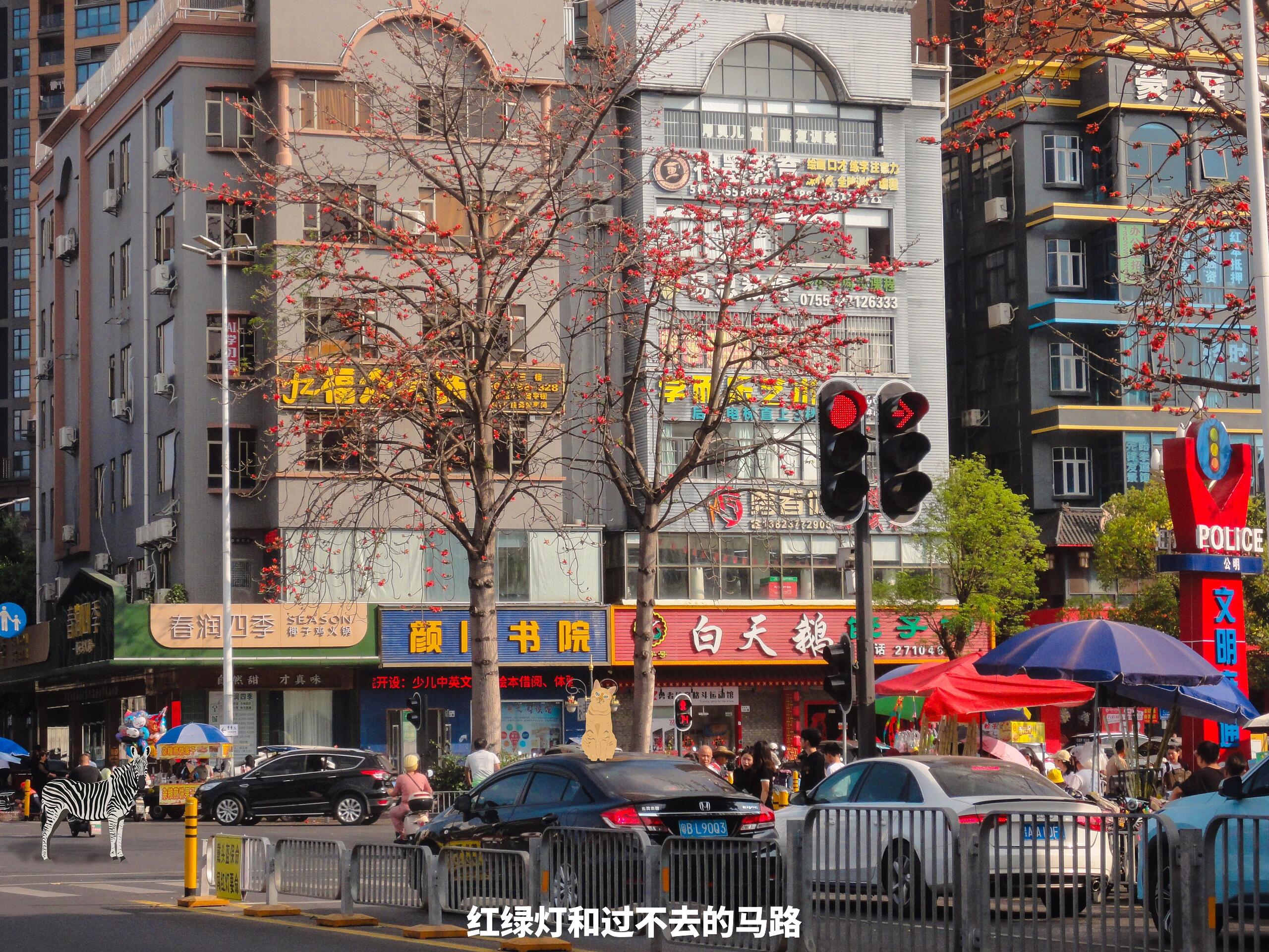 红树街道重塑城市未来面貌的最新宏大构想项目启动