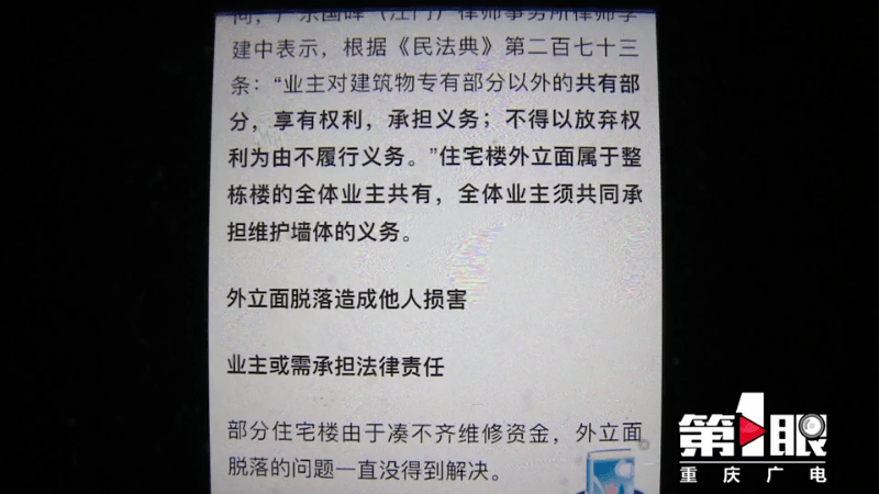 鱼洞街道人事任命揭晓，引领社区发展新篇章