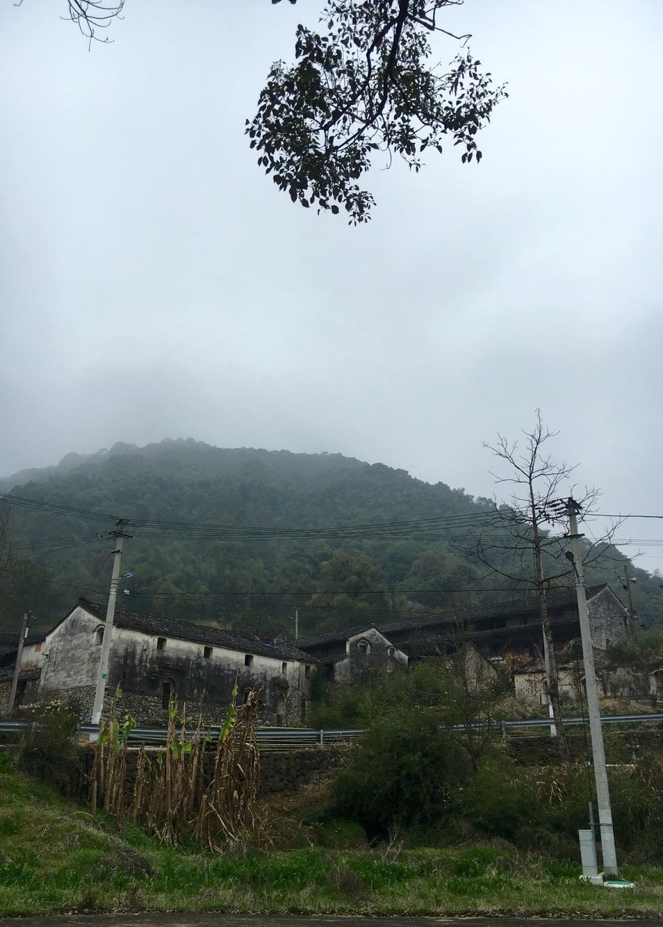 金岭乡最新天气预报通知