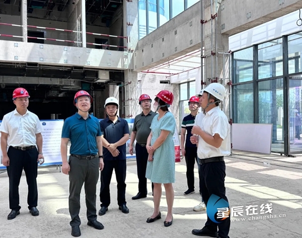 望城县发展和改革局最新项目概览，全面解读项目进展与未来规划