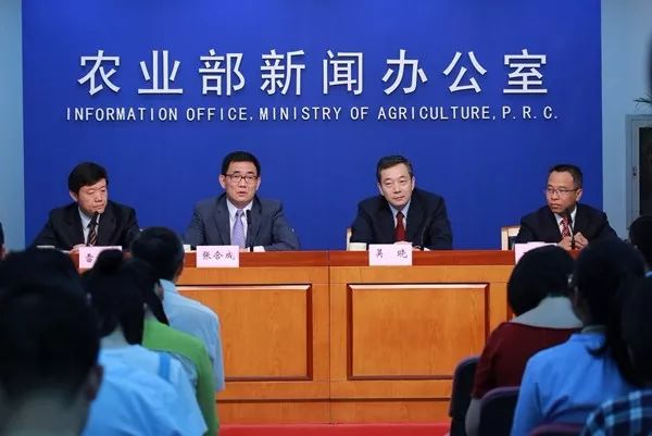 化洼村民委员会交通新闻更新