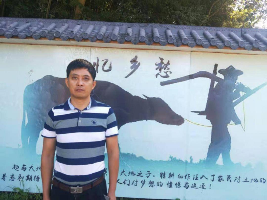 马鞍山农场发展创新步伐加速，最新新闻一览