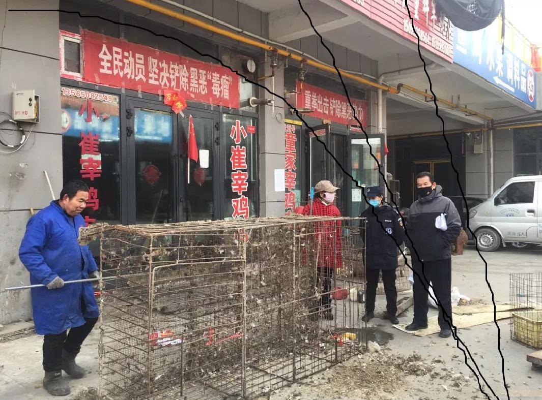 焉耆回族自治县防疫检疫站人事任命，助力防疫检疫工作升级