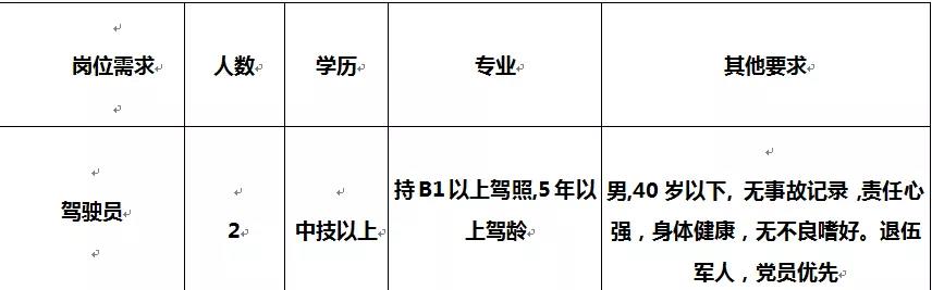 文山村最新招聘信息全面解析