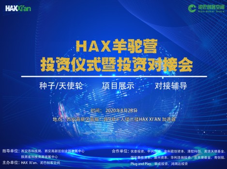 最新科技创业项目，引领未来科技浪潮的新力量崛起