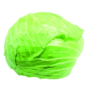 山东白菜最新价格动态解析