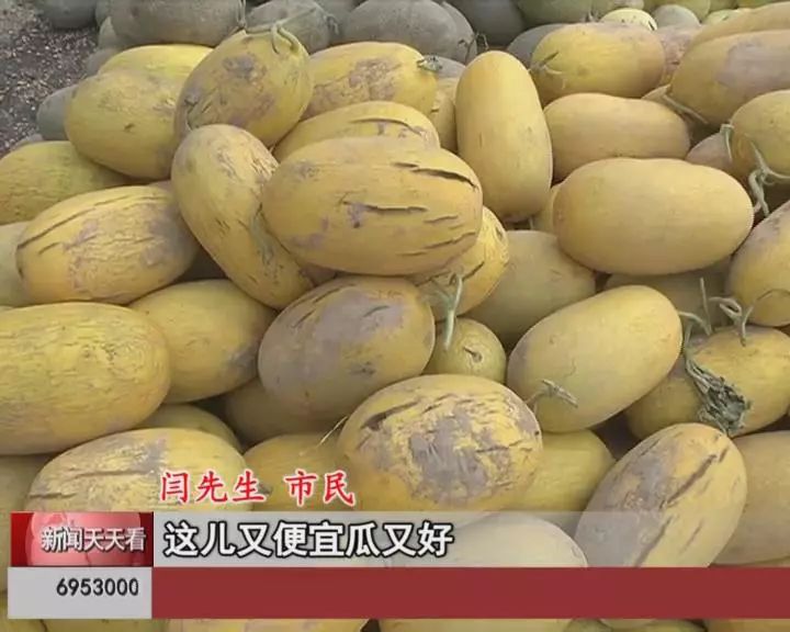 那份悸∑动 第7页