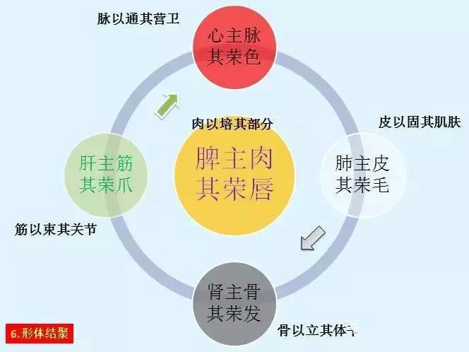 广东八二站澳门彩,标准化实施程序解析_经典版172.312