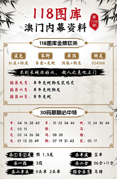 新澳门小雯资料2024年第225期,准确资料解释落实_豪华版180.300