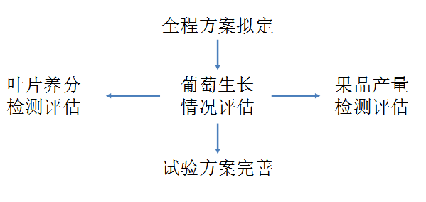 |▍海洛因的温柔 第6页