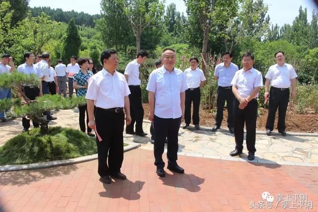 平阴县康复事业单位最新动态报道