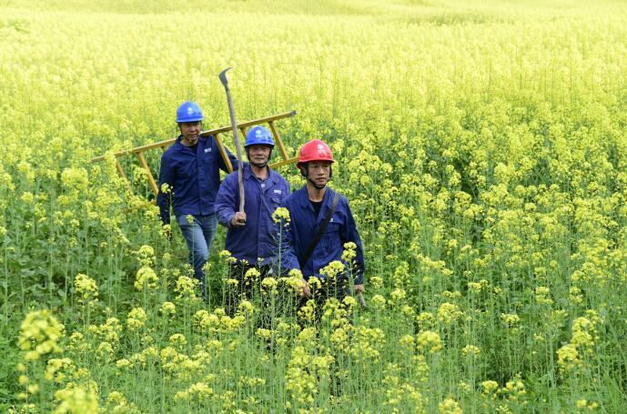 桐梓县应急管理局最新招聘信息全面解析