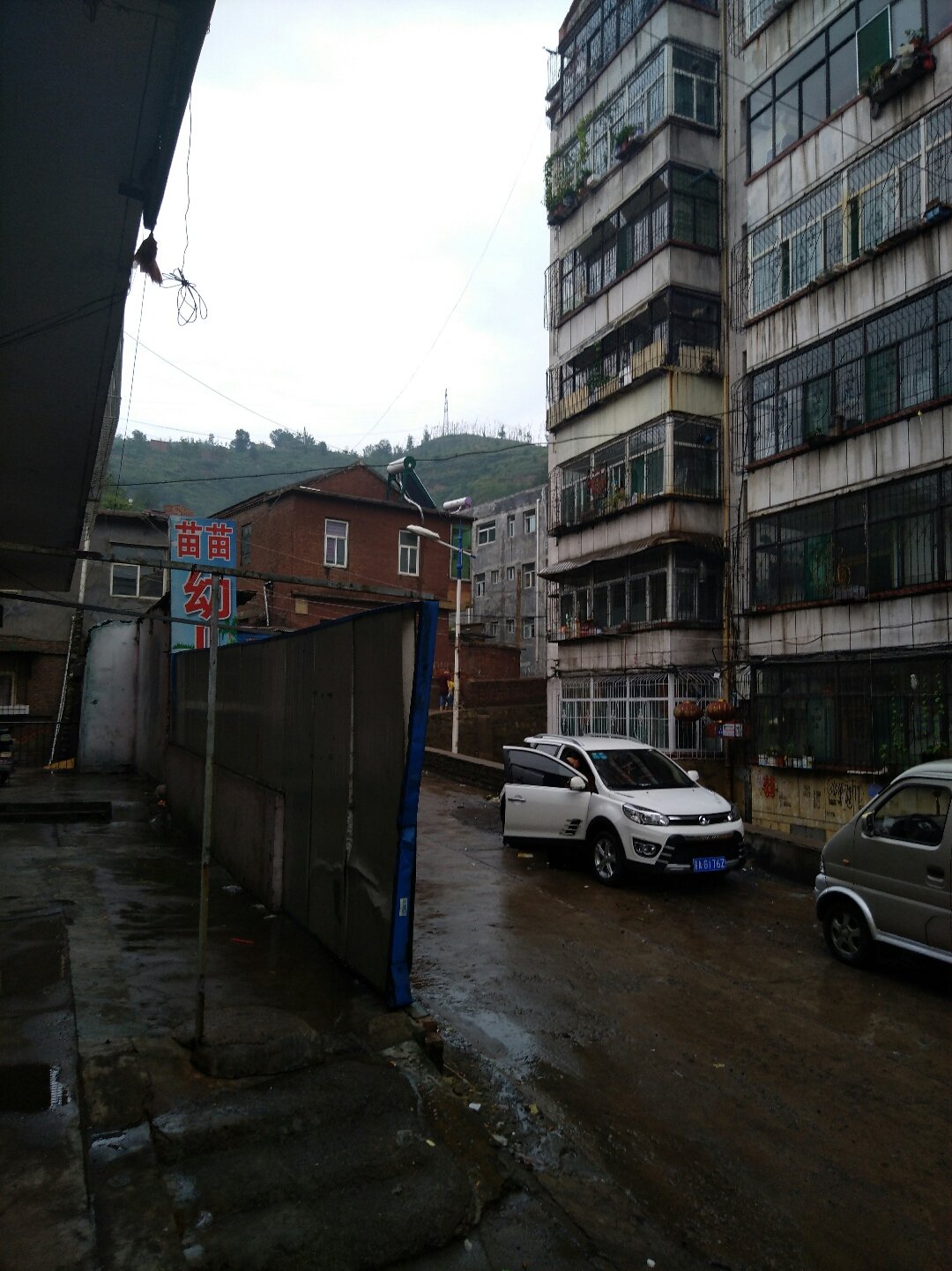 几叶风兼雨 第3页